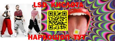 прущие грибы Краснодар