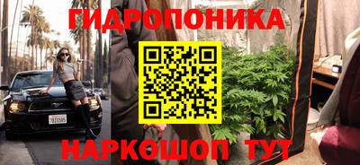 прущие грибы Краснодар