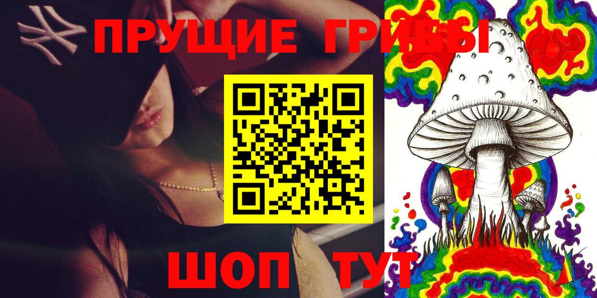 Галлюциногенные грибы Psilocybine cubensis Камышлов
