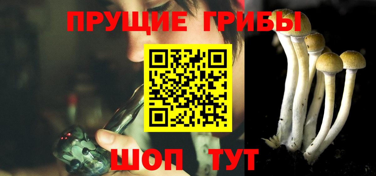 Галлюциногенные грибы прущие грибы  Вход с VPN  Камышлов 